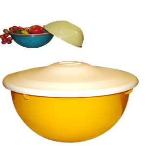 SALADEIRA GIG (10LTS*C/TAMPA) 770010 CVL